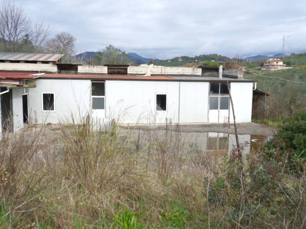 Terreno a Montecorvino pugliano in Via Macchia Morese - Foto 5