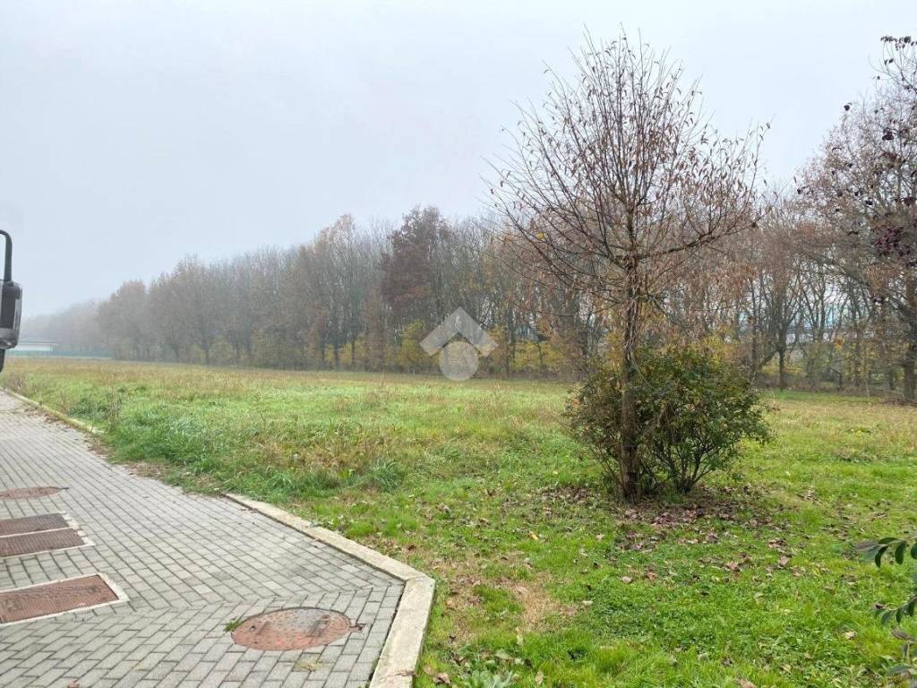 Terreno a Pegognaga in ALBERTO SORDI, 7 - Foto 2