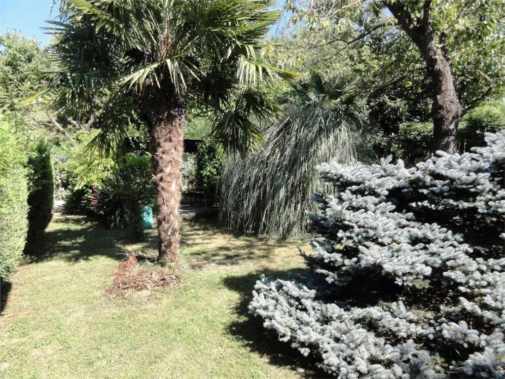 Terreno a Cairo montenotte - Foto 3