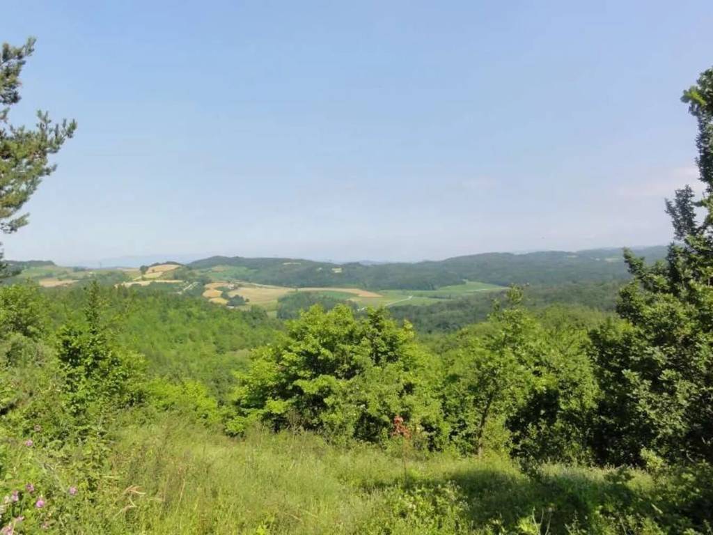 Rustico / casale a Camerana - Foto 2