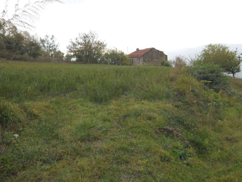 Rustico / casale a Saliceto - Foto 3