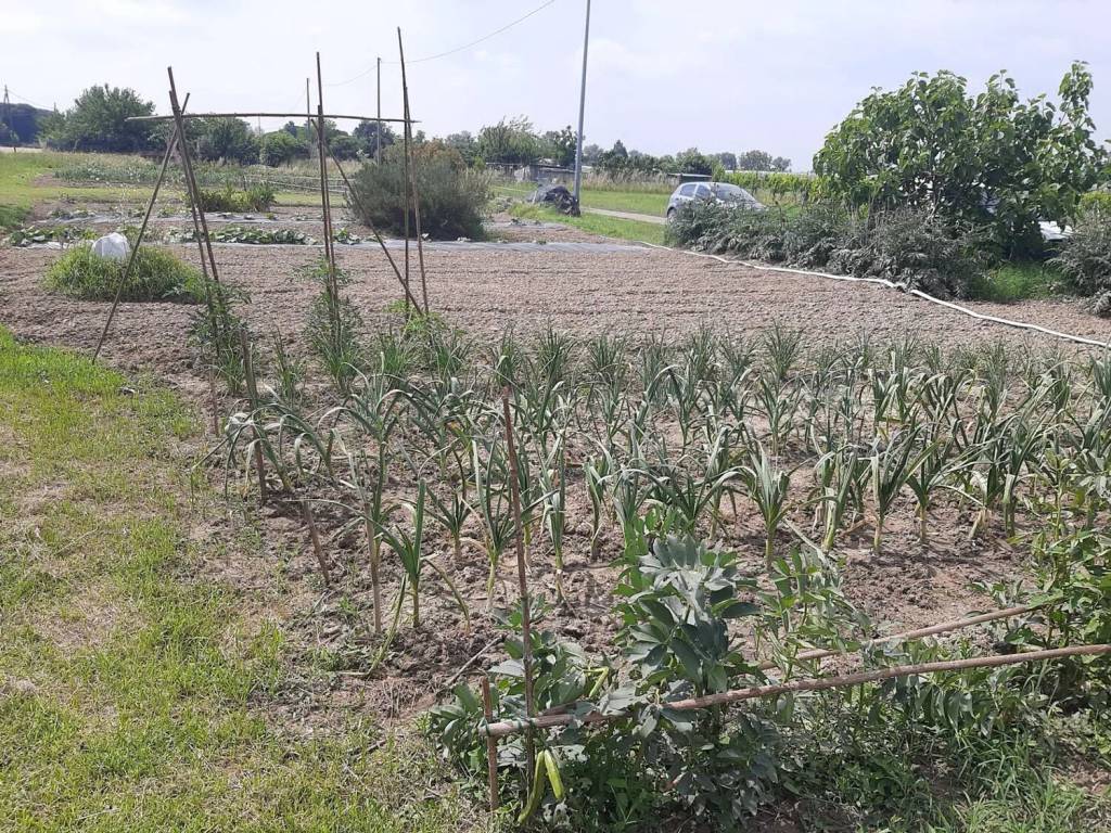 Terreno a Ravenna - Foto 2