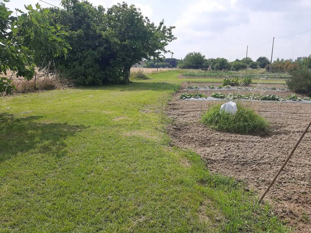 Terreno a Ravenna - Foto 3