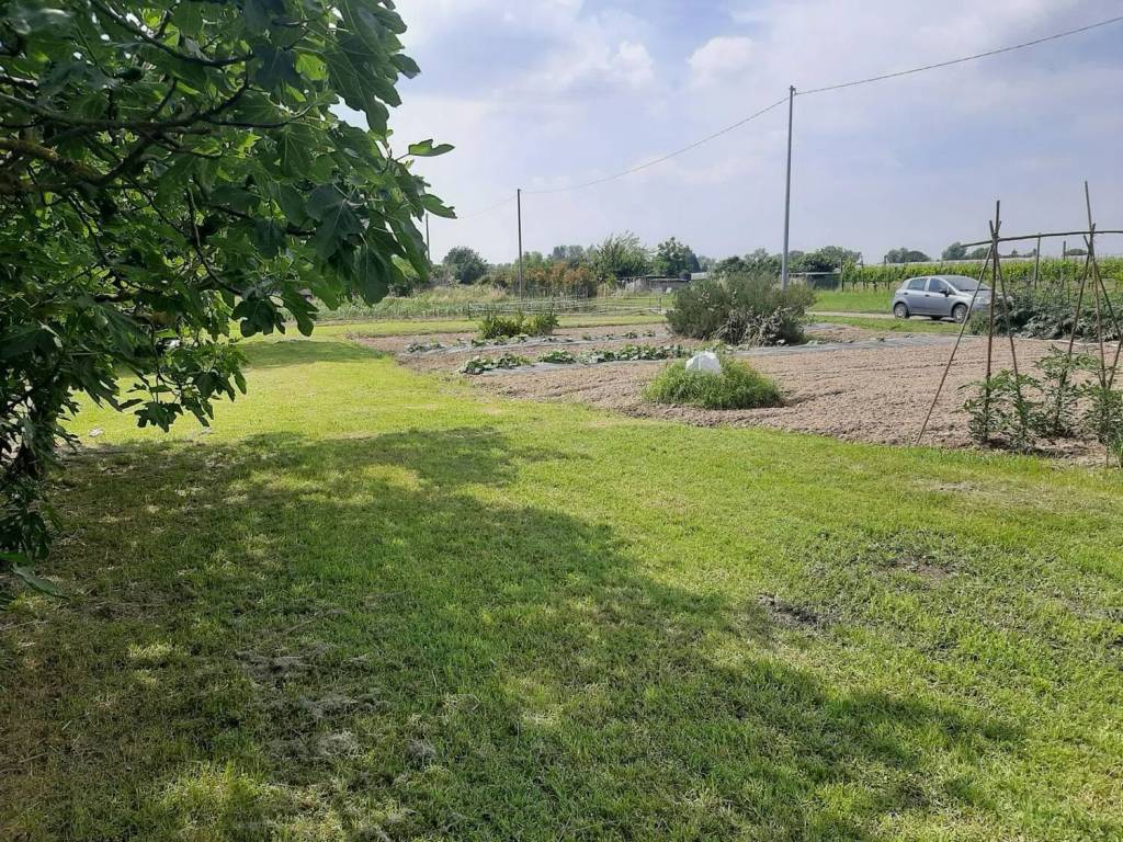 Terreno a Ravenna - Foto 5