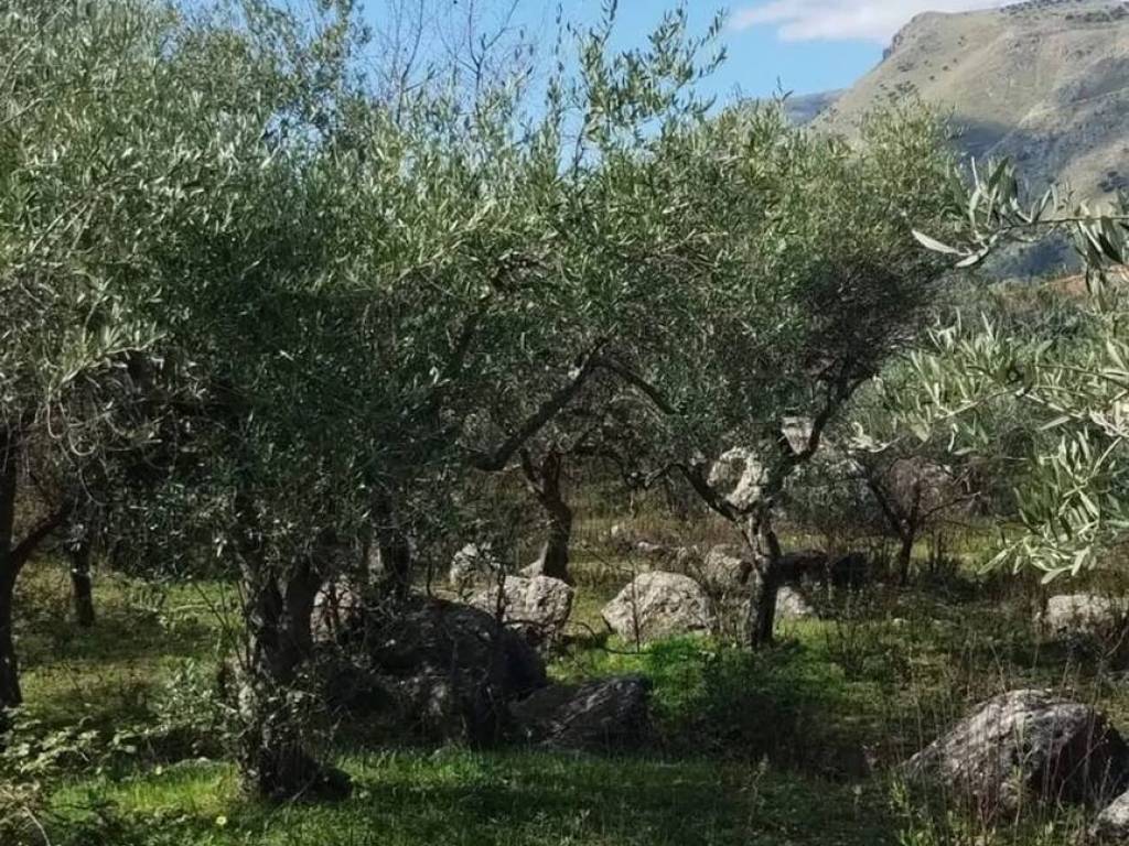 Terreno a Monreale in Via Esterna Realcelsi, 46 - Foto 2