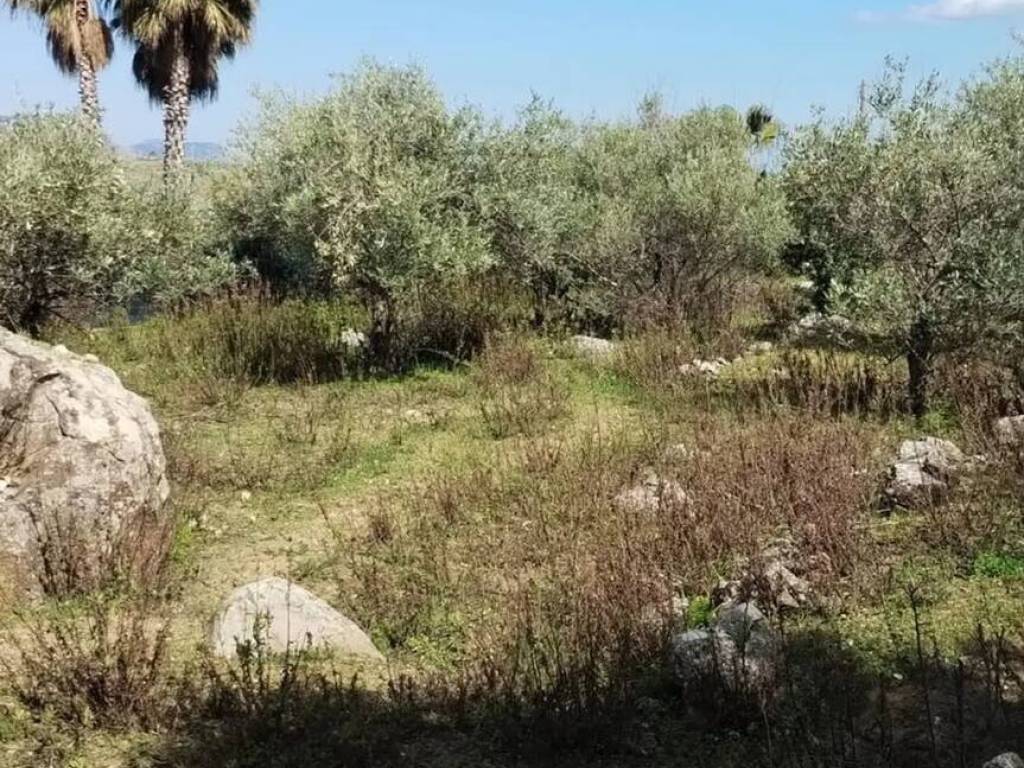 Terreno a Monreale in Via Esterna Realcelsi, 46 - Foto 4