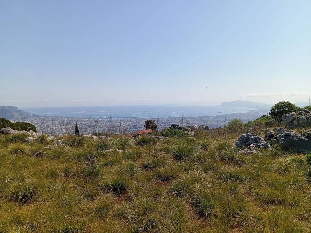 Terreno a Monreale in Contrada Caputo Cardullo, 45 - Foto 2