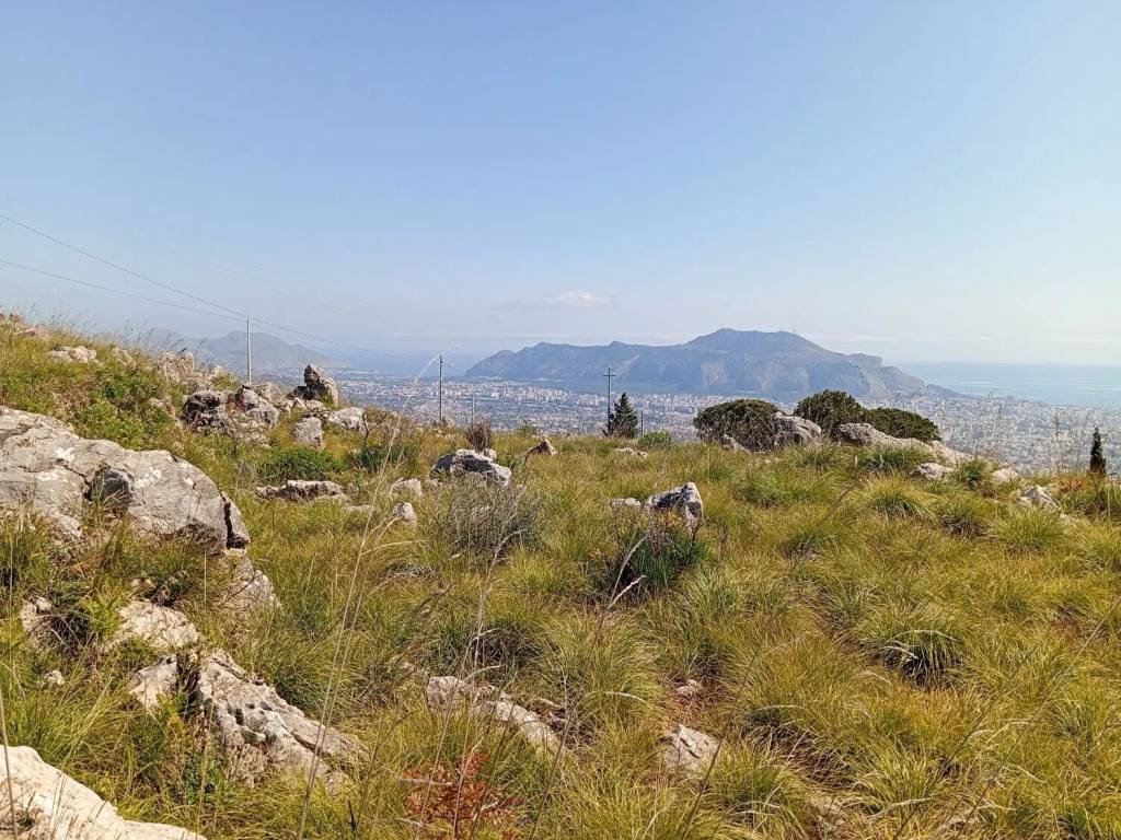 Terreno a Monreale in Contrada Caputo Cardullo, 45 - Foto 3