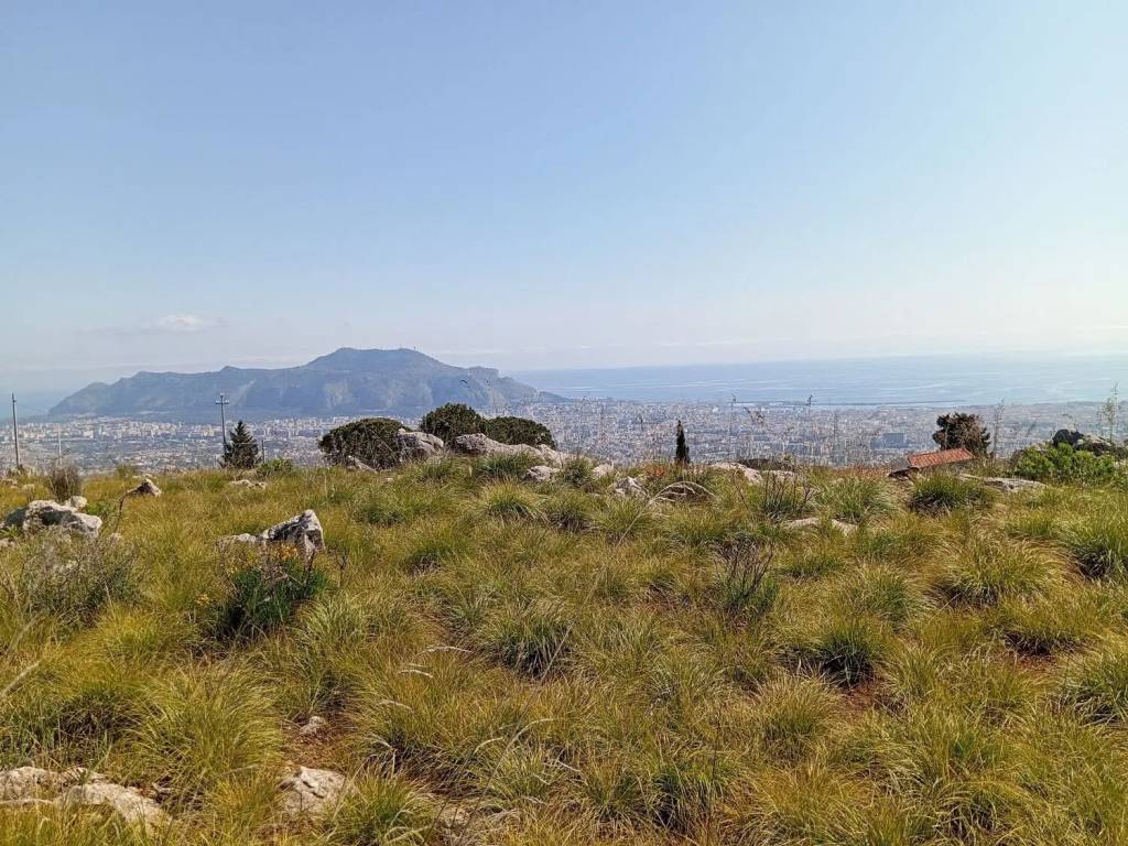 Terreno a Monreale in Contrada Caputo Cardullo, 45 - Foto 4
