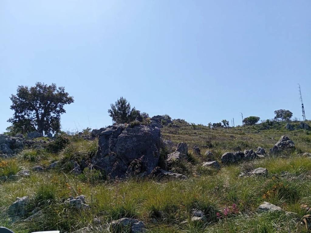 Terreno a Monreale in Contrada Caputo Cardullo, 45 - Foto 5