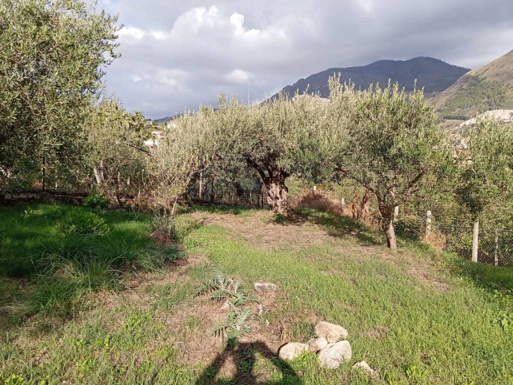 Terreno a Monreale in Via M 31, 21 - Foto 2