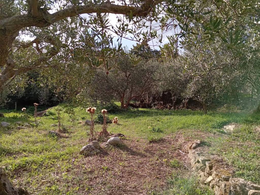 Terreno a Monreale in Via M 31, 21 - Foto 3