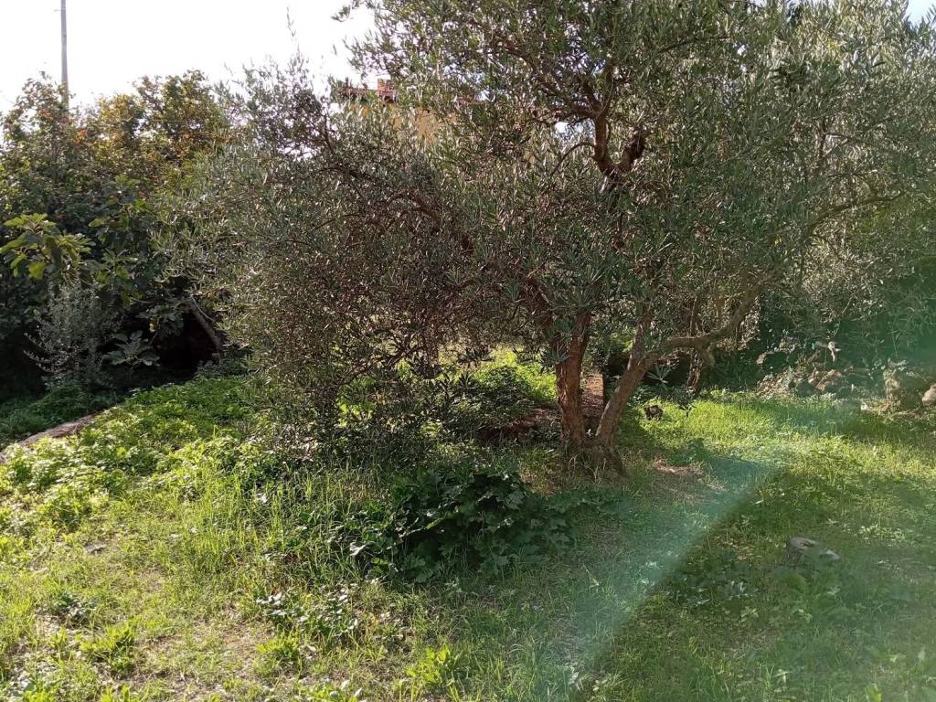 Terreno a Monreale in Via M 31, 21 - Foto 4