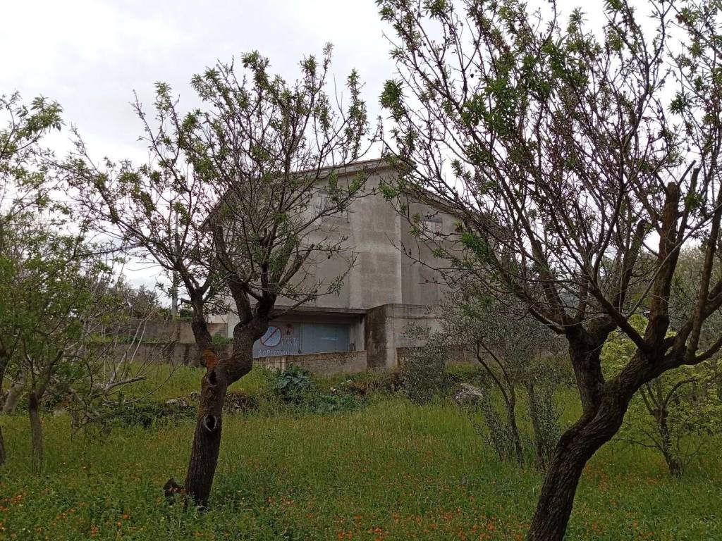 Villa a Monreale in Contrada Caputo Cardullo No Number - Foto 2