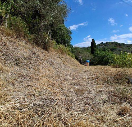 Casa indipendente a Sarzana in Via Navonella - Foto 3