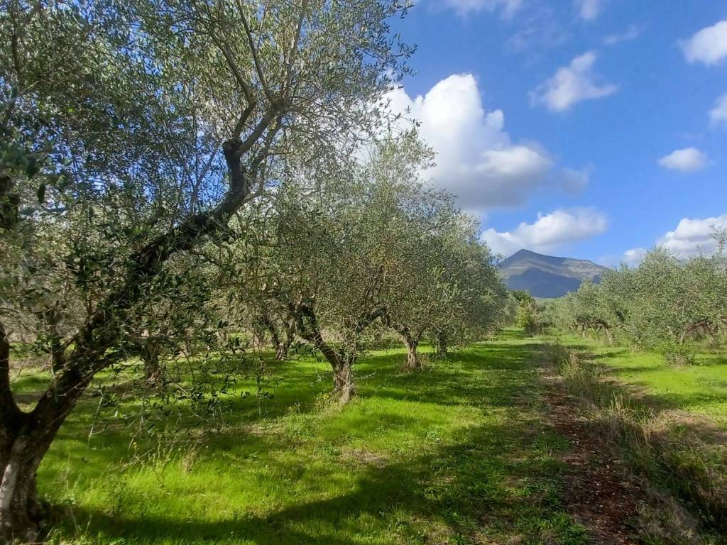 Terreno a Maenza in Via Carpinetana - Foto 3
