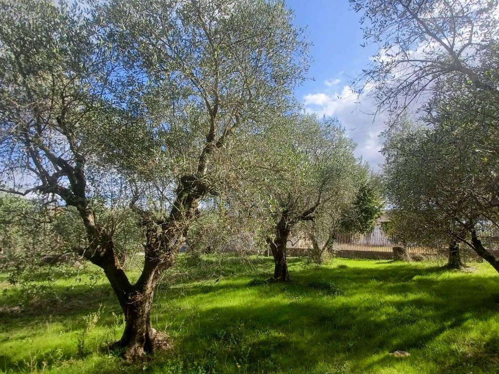 Terreno a Maenza in Via Carpinetana - Foto 5