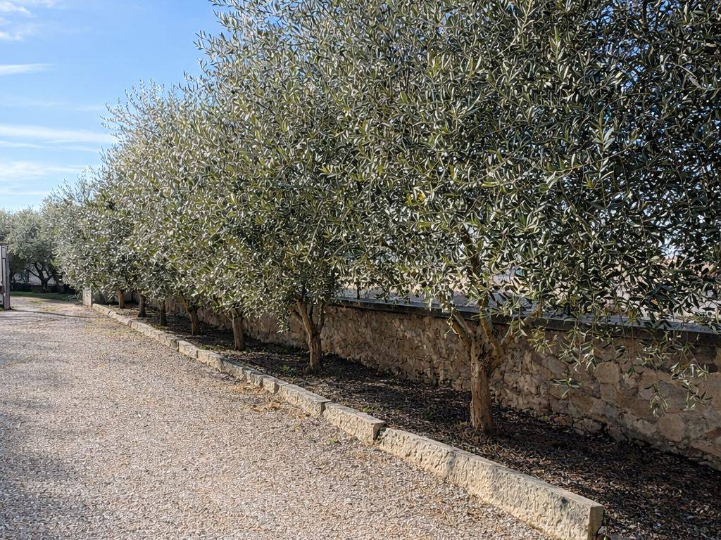 Villa a Soave - Foto 2