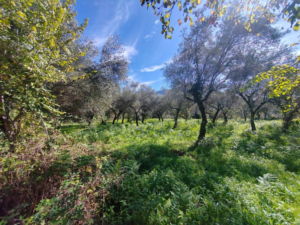 Terreno a Maenza in Via della Fontana - Foto 3