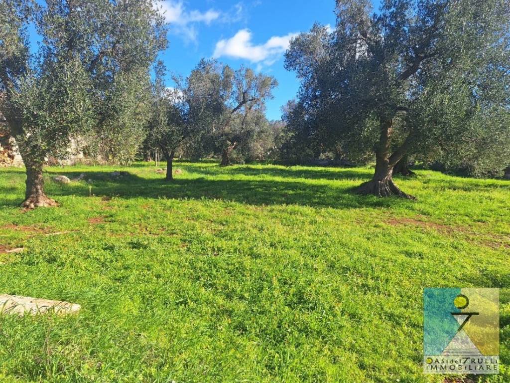 Rustico / casale a San michele salentino in Contrada Sardella - Foto 5