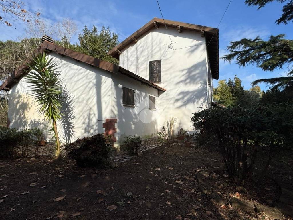 Rustico / casale a Latina in Str. del Pantanello, 892 - Foto 5