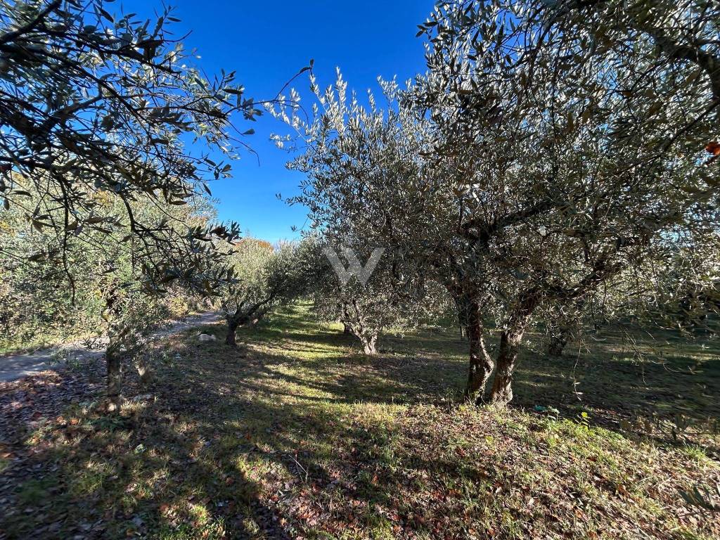 Villa a Campobasso in Contrada Cese - Foto 4