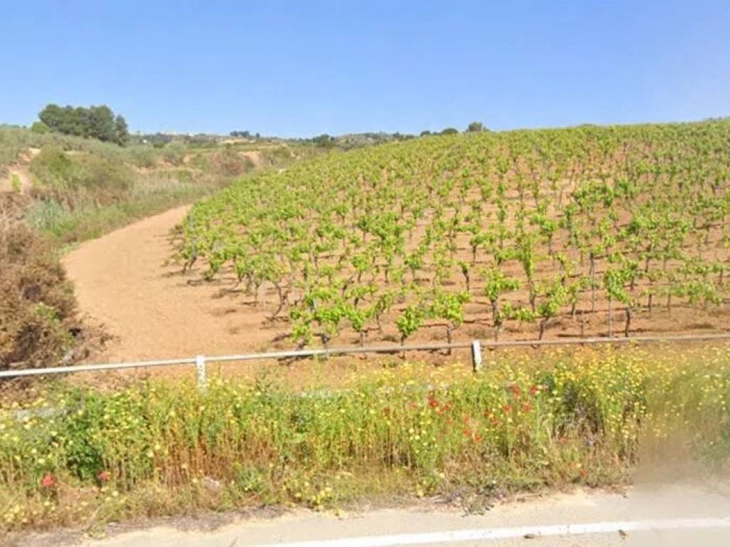 Terreno a Partanna in Contrada Donzelle No Number - Foto 2