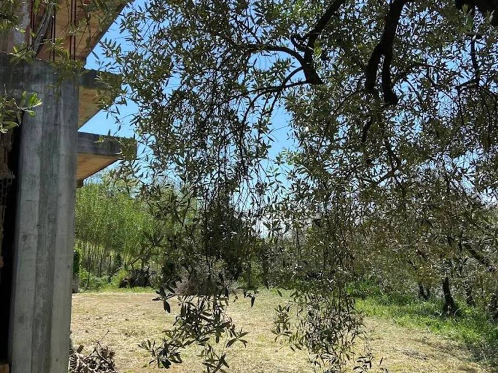 Rustico / casale a Frosinone in Via Montecassino - Foto 3