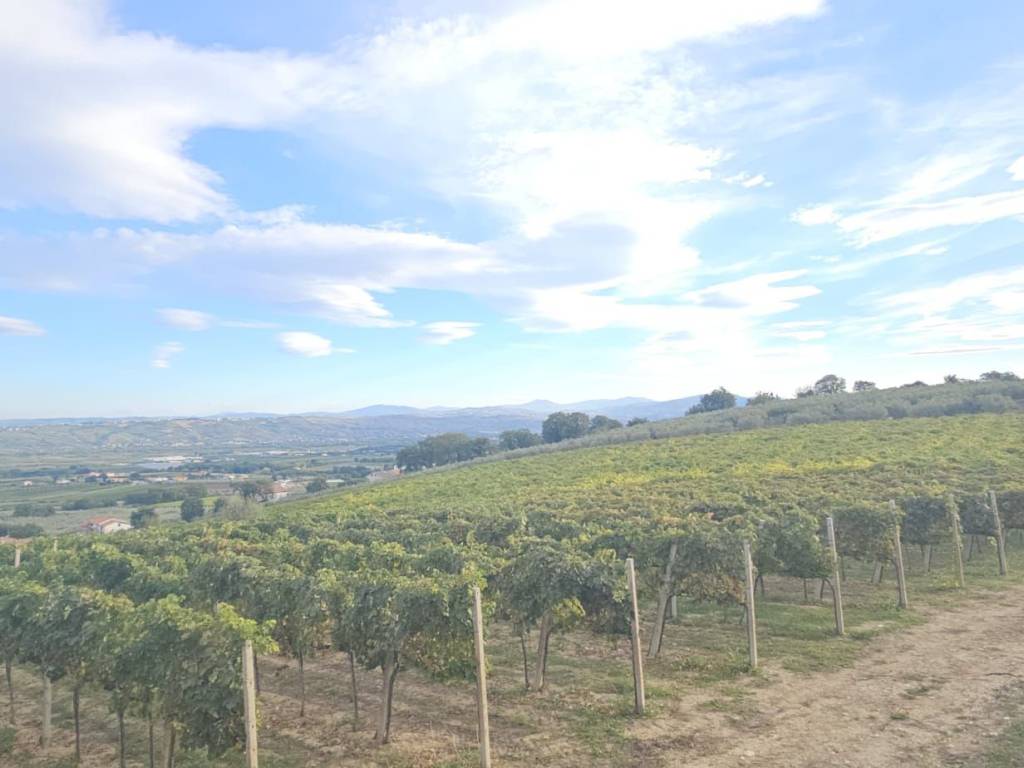 Terreno a Santa maria imbaro - Foto 2