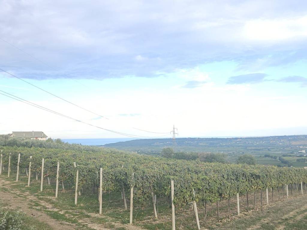 Terreno a Santa maria imbaro - Foto 3