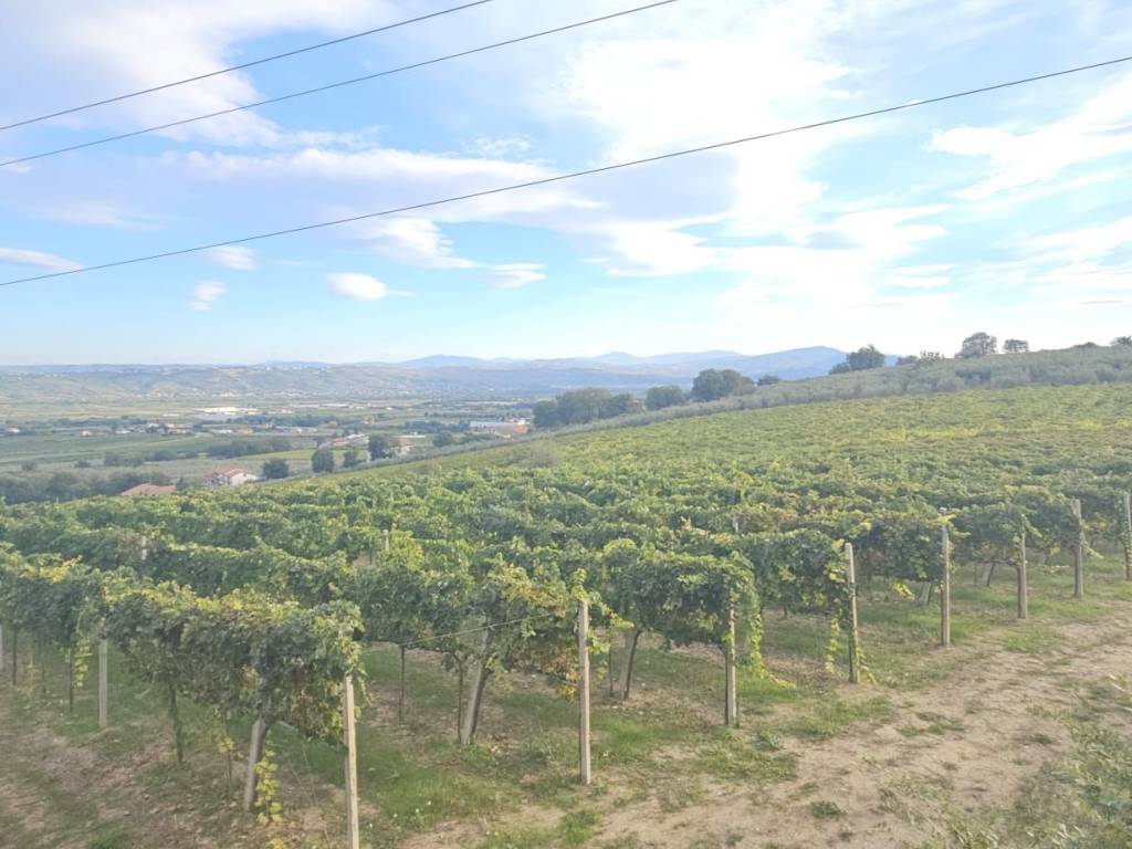 Terreno a Santa maria imbaro - Foto 4