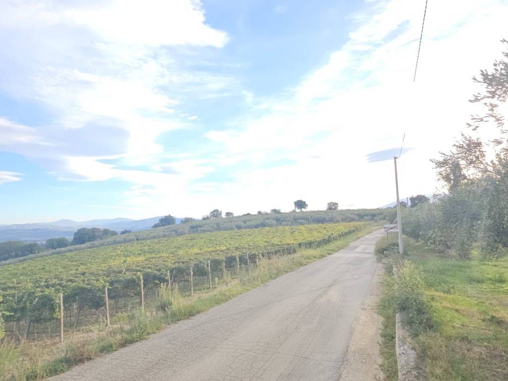 Terreno a Santa maria imbaro - Foto 5