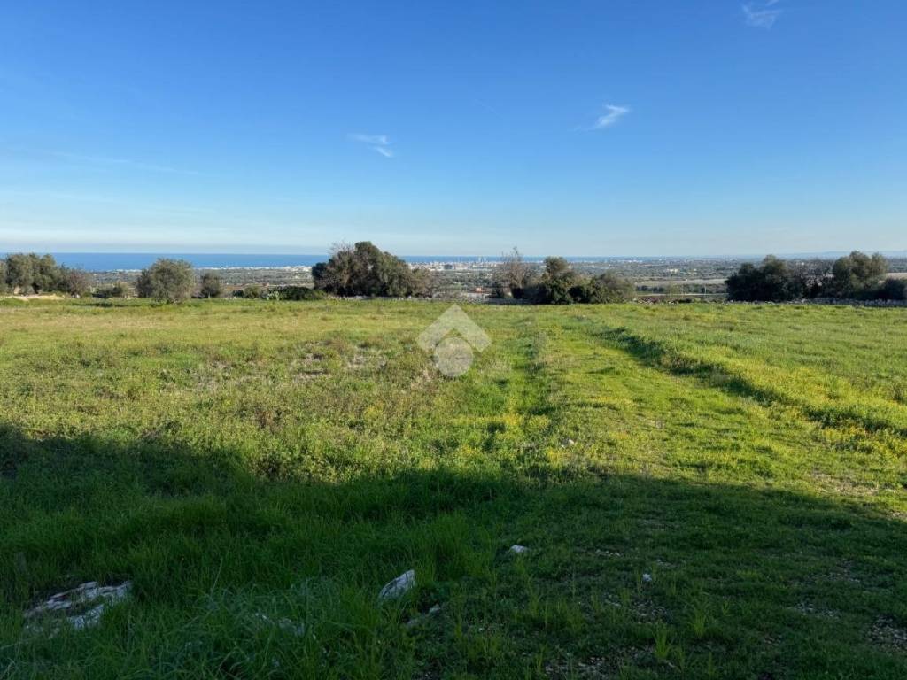Terreno a Polignano a mare in Contrada Fondo delle Rose, 1 - Foto 2