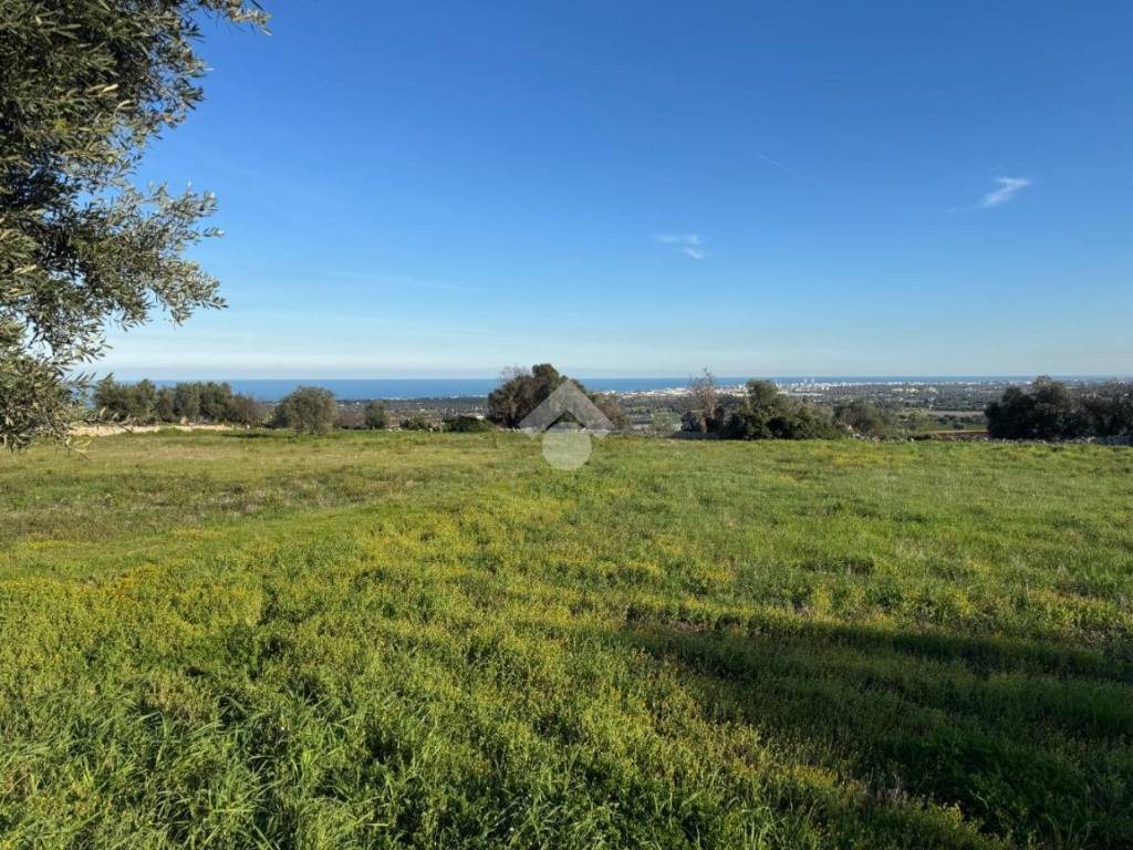 Terreno a Polignano a mare in Contrada Fondo delle Rose, 1 - Foto 3