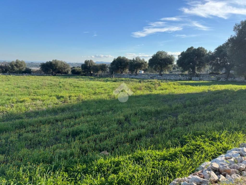 Terreno a Polignano a mare in Contrada Fondo delle Rose, 1 - Foto 4
