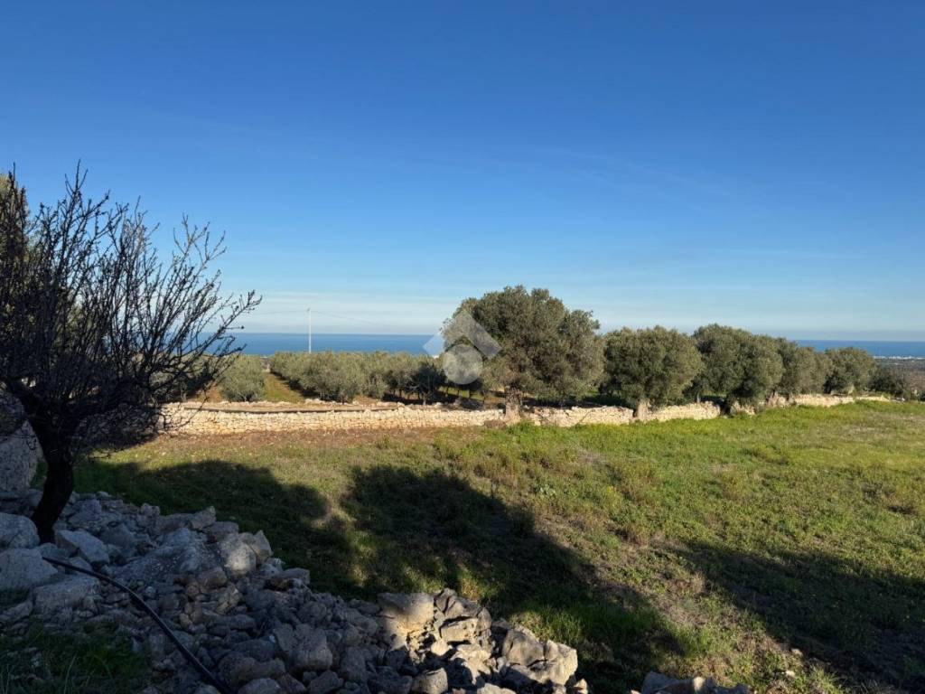 Terreno a Polignano a mare in Contrada Fondo delle Rose, 1 - Foto 5