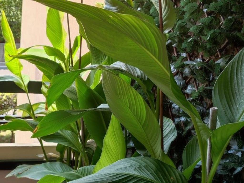 Appartamento a Desenzano del garda in Via Battista Vighenzi, 26 - Foto 4