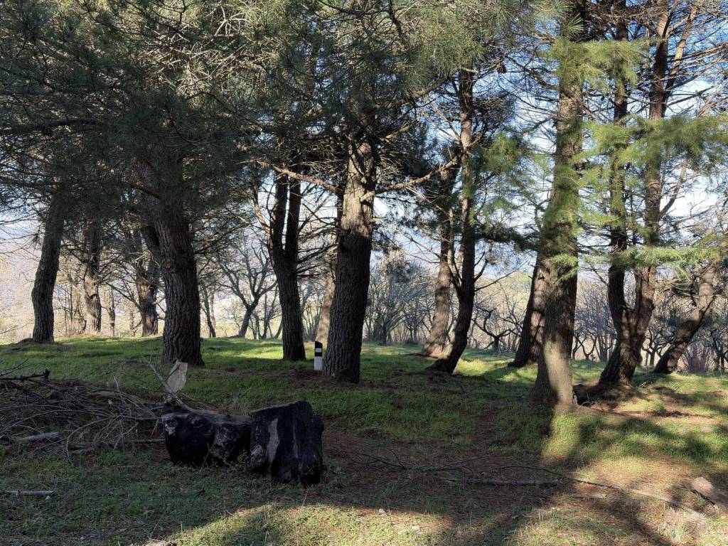 Villa a Montalbano elicona in Strada Provinciale Montalbanese - Foto 5