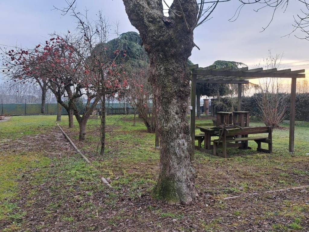 Villa a Moglia - Foto 2