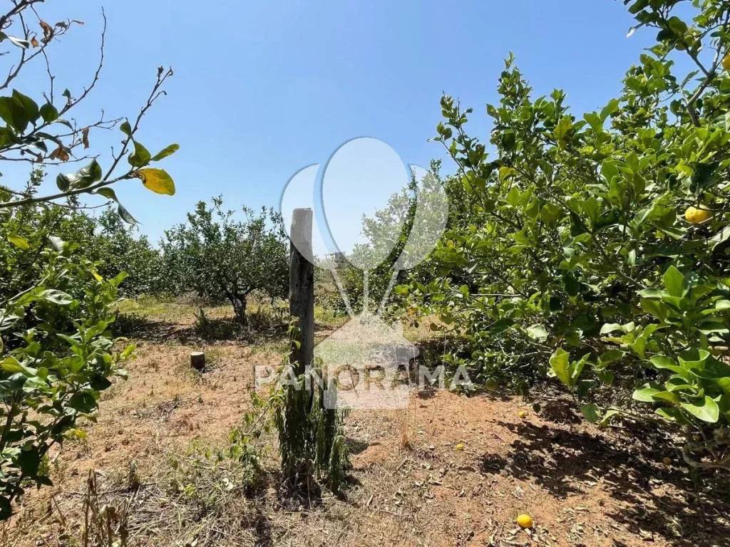 Terreno a Balestrate in Contrada Telegrafo - Foto 2