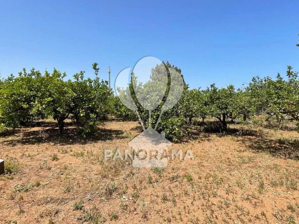 Terreno a Balestrate in Contrada Telegrafo - Foto 3