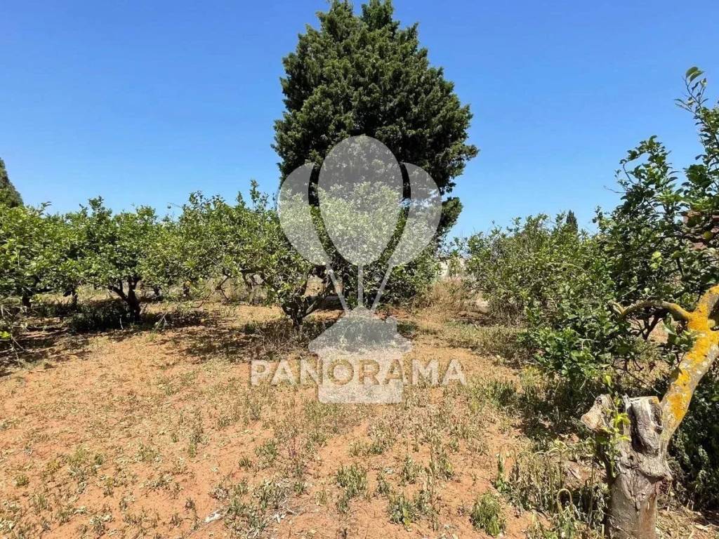 Terreno a Balestrate in Contrada Telegrafo - Foto 5