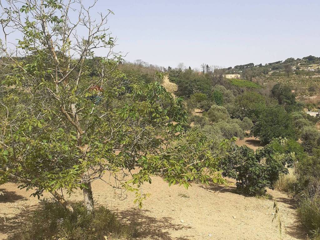 Terreno a Enna in Contrada Pollicarini - Foto 2