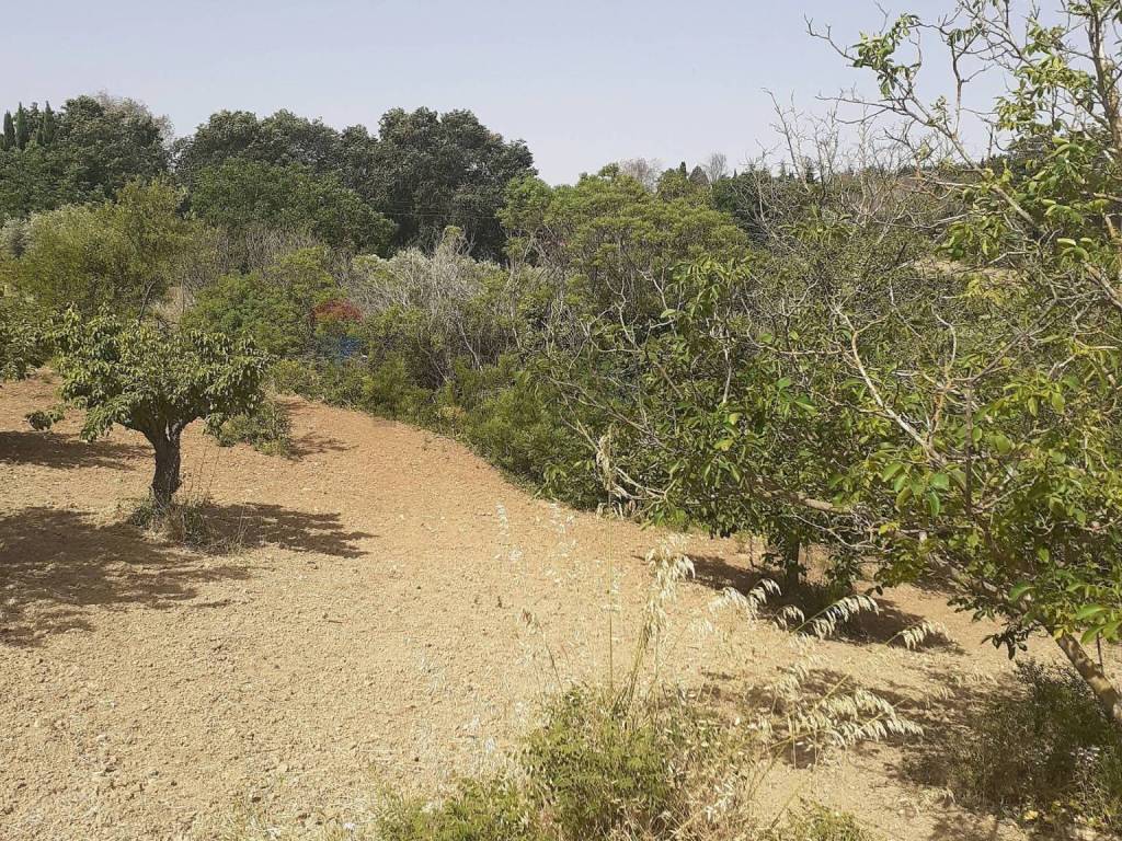 Terreno a Enna in Contrada Pollicarini - Foto 3