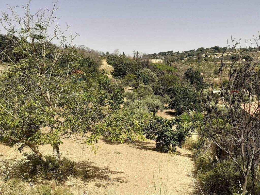 Terreno a Enna in Contrada Pollicarini - Foto 4