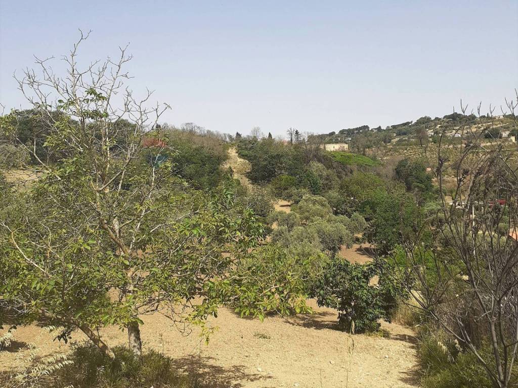 Terreno a Enna in Contrada Pollicarini - Foto 5