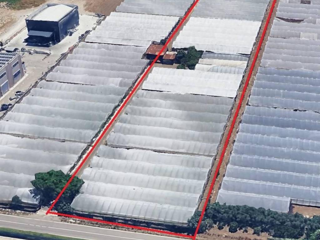 Terreno a Battipaglia - Foto 2