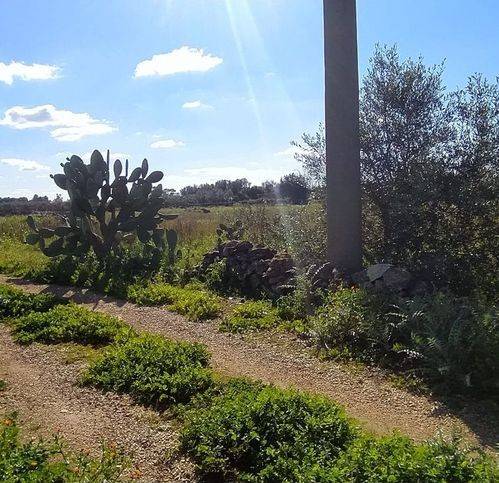 Terreno a Soleto in Contrada Mendule' - Foto 2