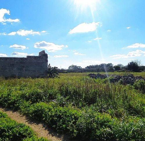 Terreno a Soleto in Contrada Mendule' - Foto 3