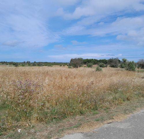 Terreno a Lecce in Via Fernando Stefanizzi - Foto 3